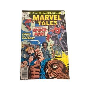 Volume 1 Marvel Tales Starring Spider-Man No Number 80 Comics Book June 1977